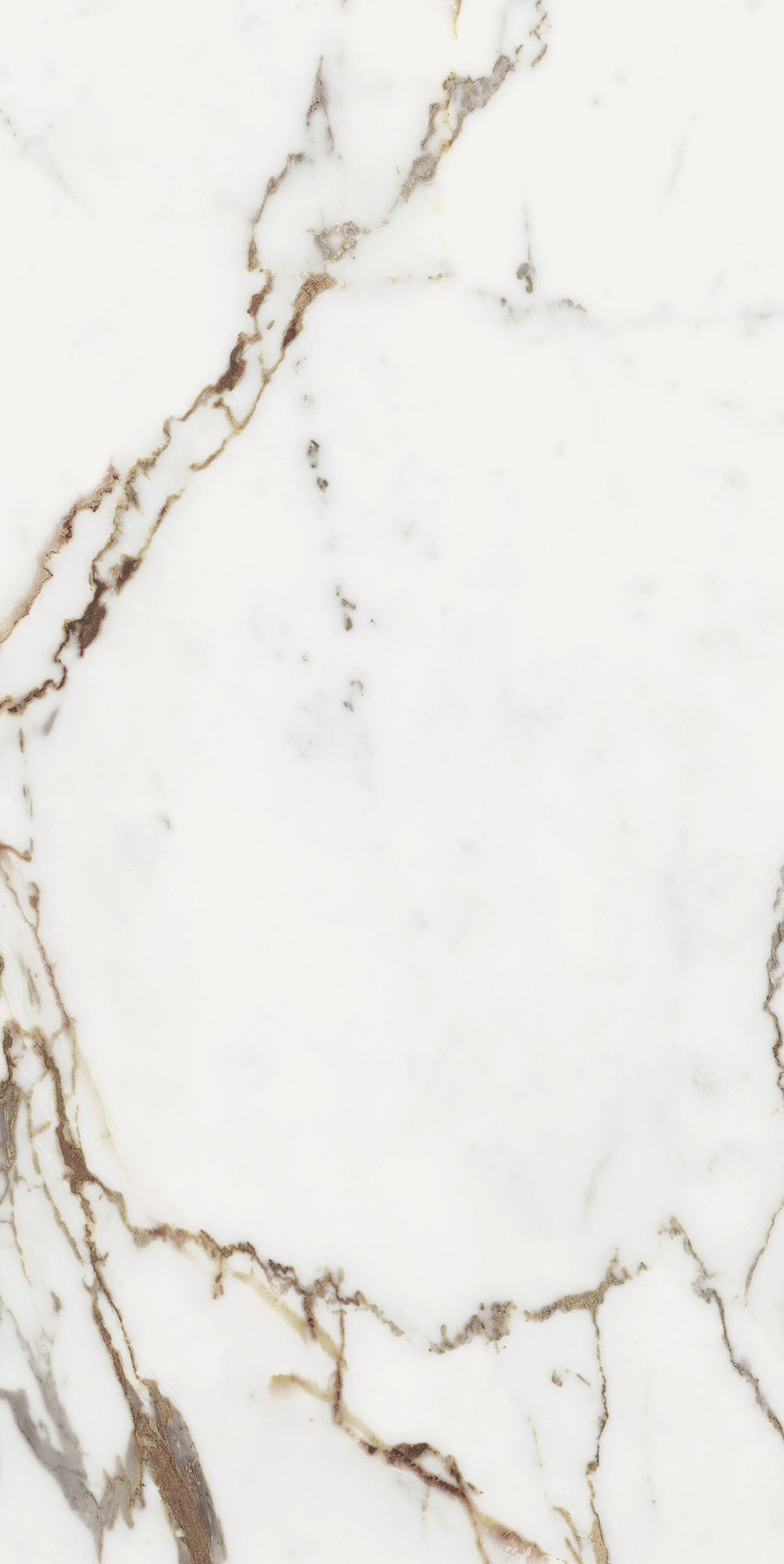 Origines De Rex - T-3806-ODR-ORR-FT-24X48-M10MM