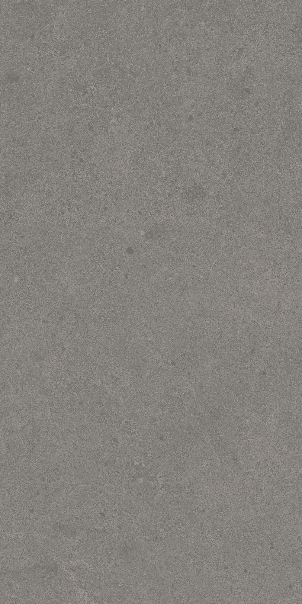 Argent 2.0 - T-2922-ARG2-ARG17-FT-6X24-UPS