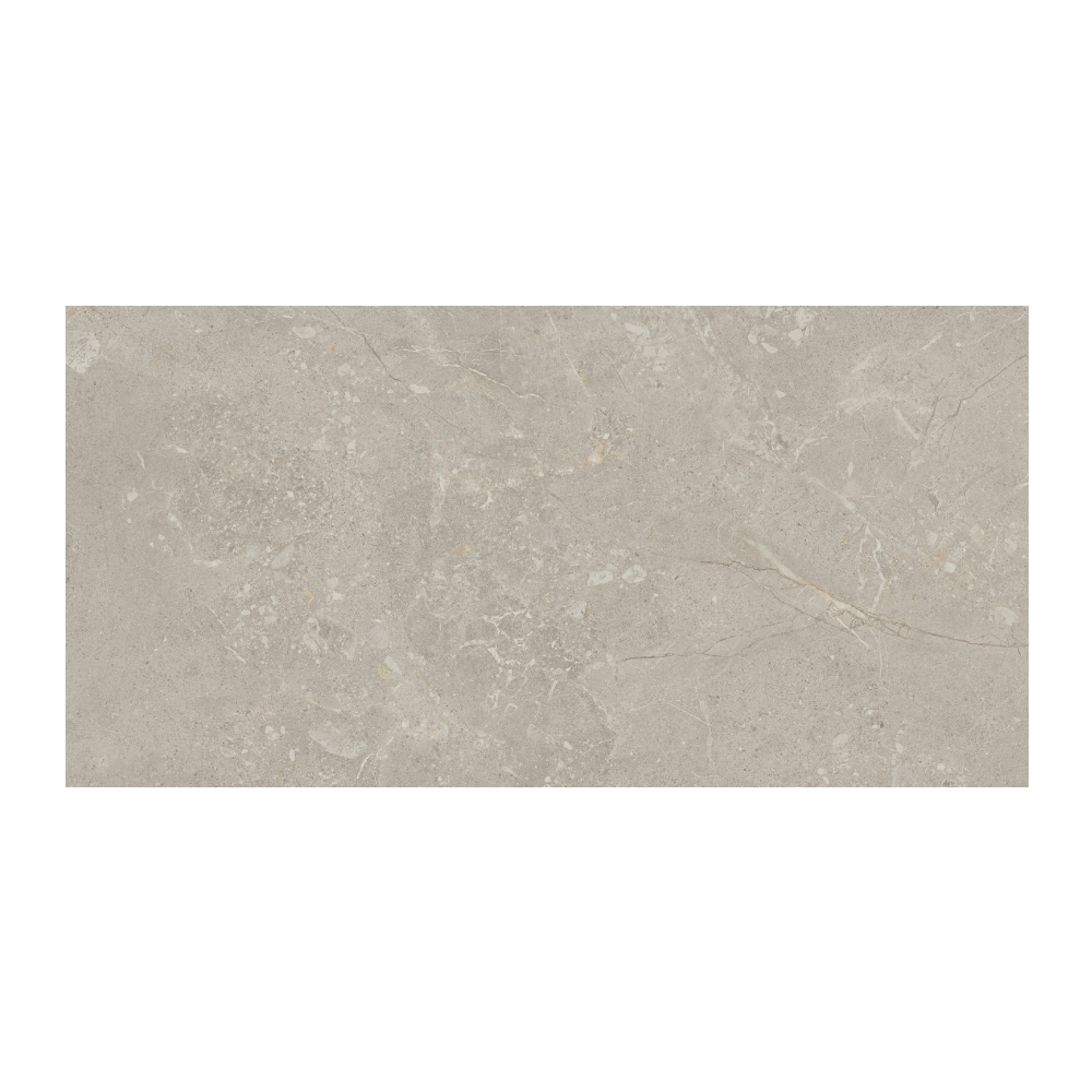 Moondance - T-267223-MNDC-GRY-FT-24X48-M