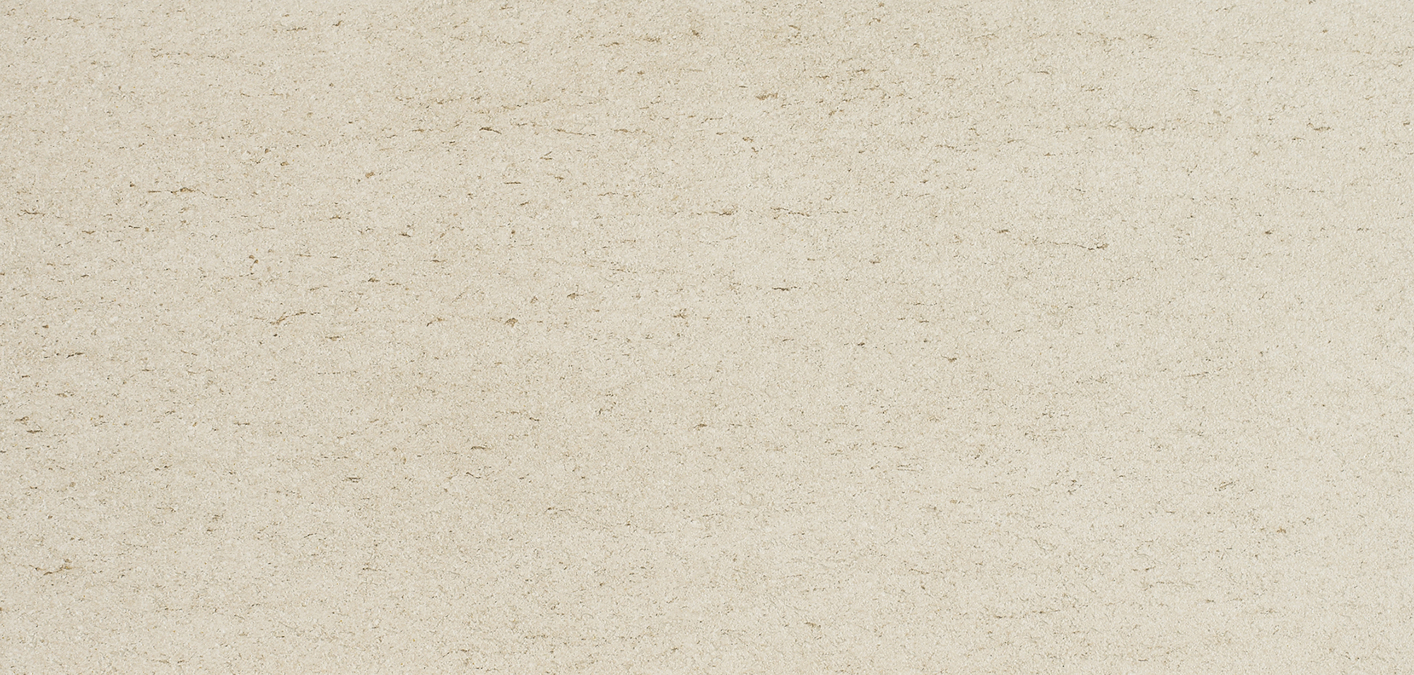 Basalt - T-2922-BA-AV291-FT-12X24