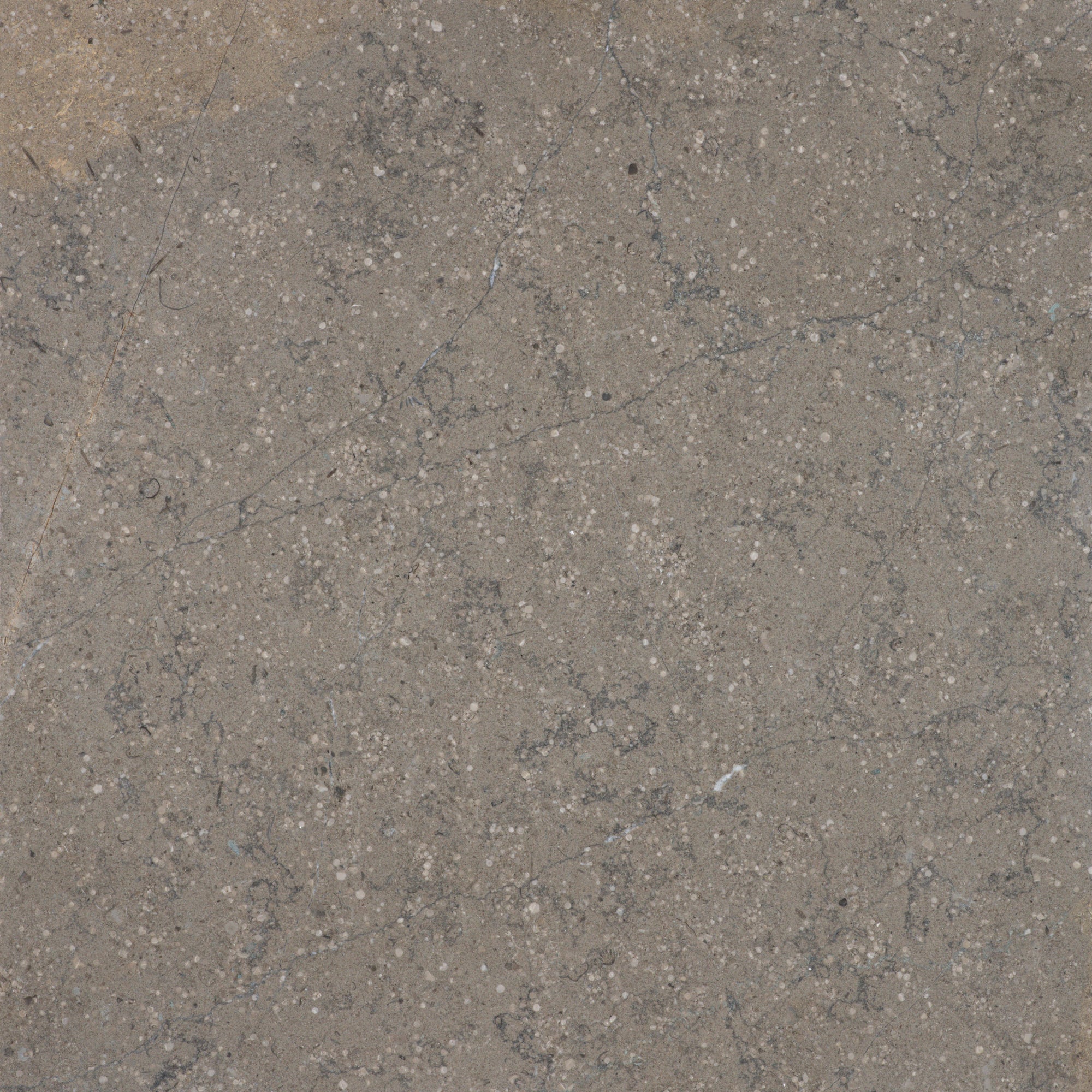 Portobello - T-279219-HAC-PRTO-FT-18X18-HNDAE