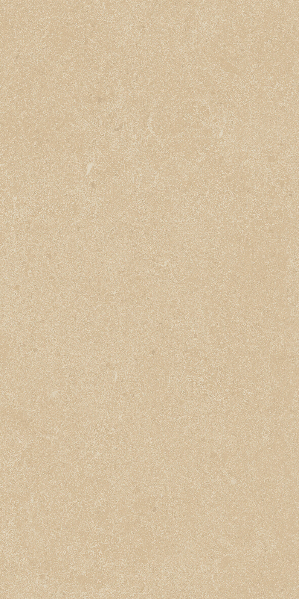 Argent 2.0 - T-2922-ARG2-ARG01-FT-12X24-UPS