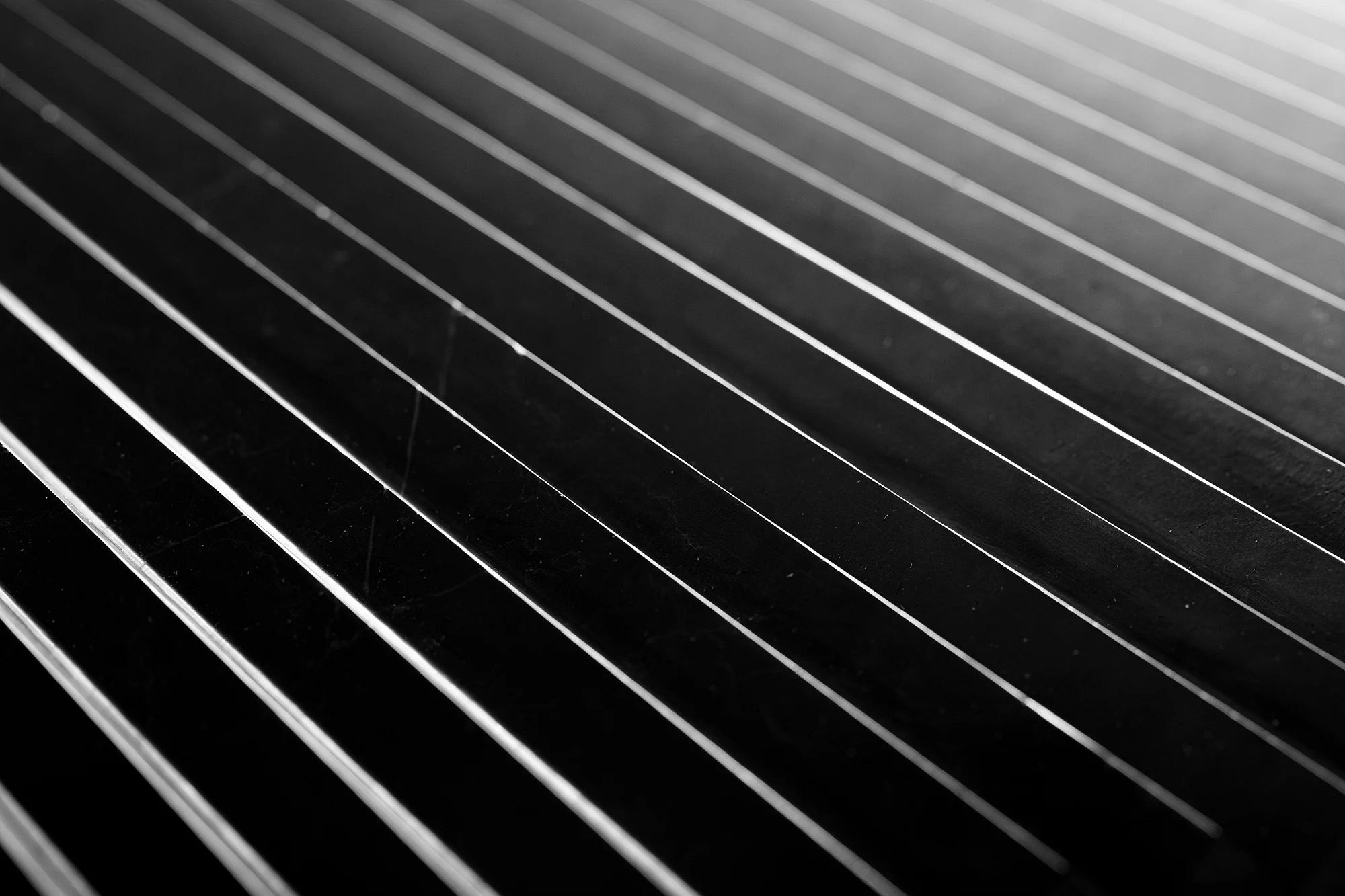 Pinnacle - T-279219-CARV-NERO-WT-12X24XTE-HND