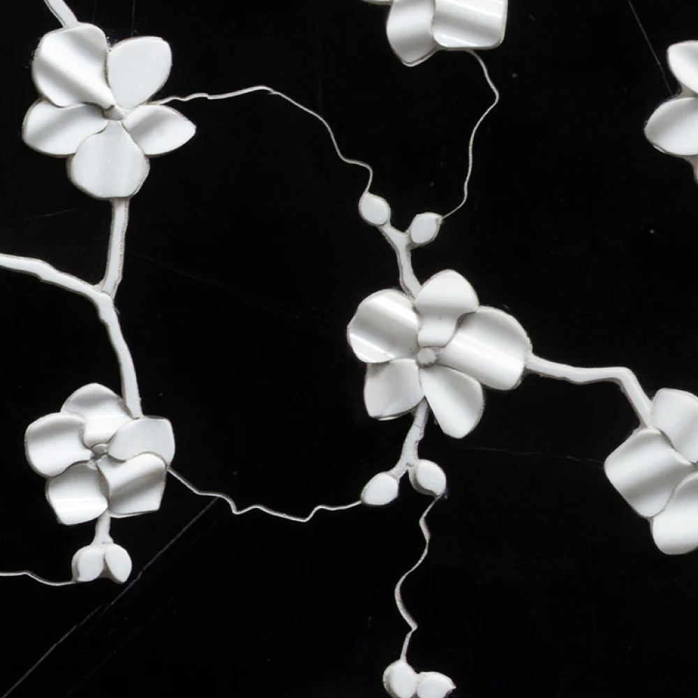 Orchid - T-279219-MASOD-NERO-MOSWJ-20TTSTX24Q-POL