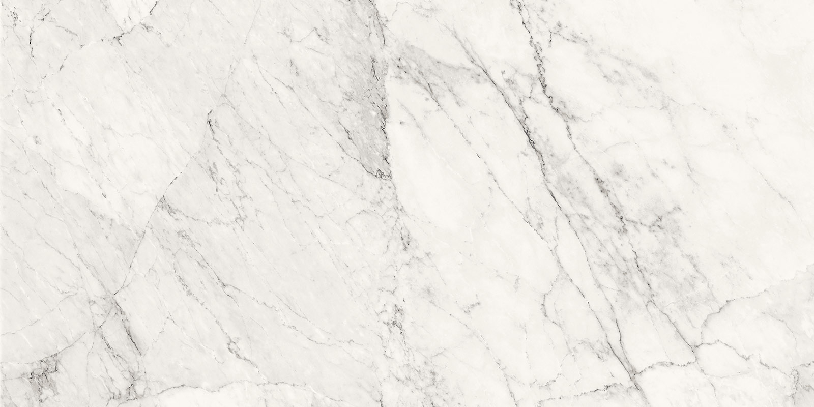 Aesthetica - T-2696-AEST-CALXW-FT-24X48-POL