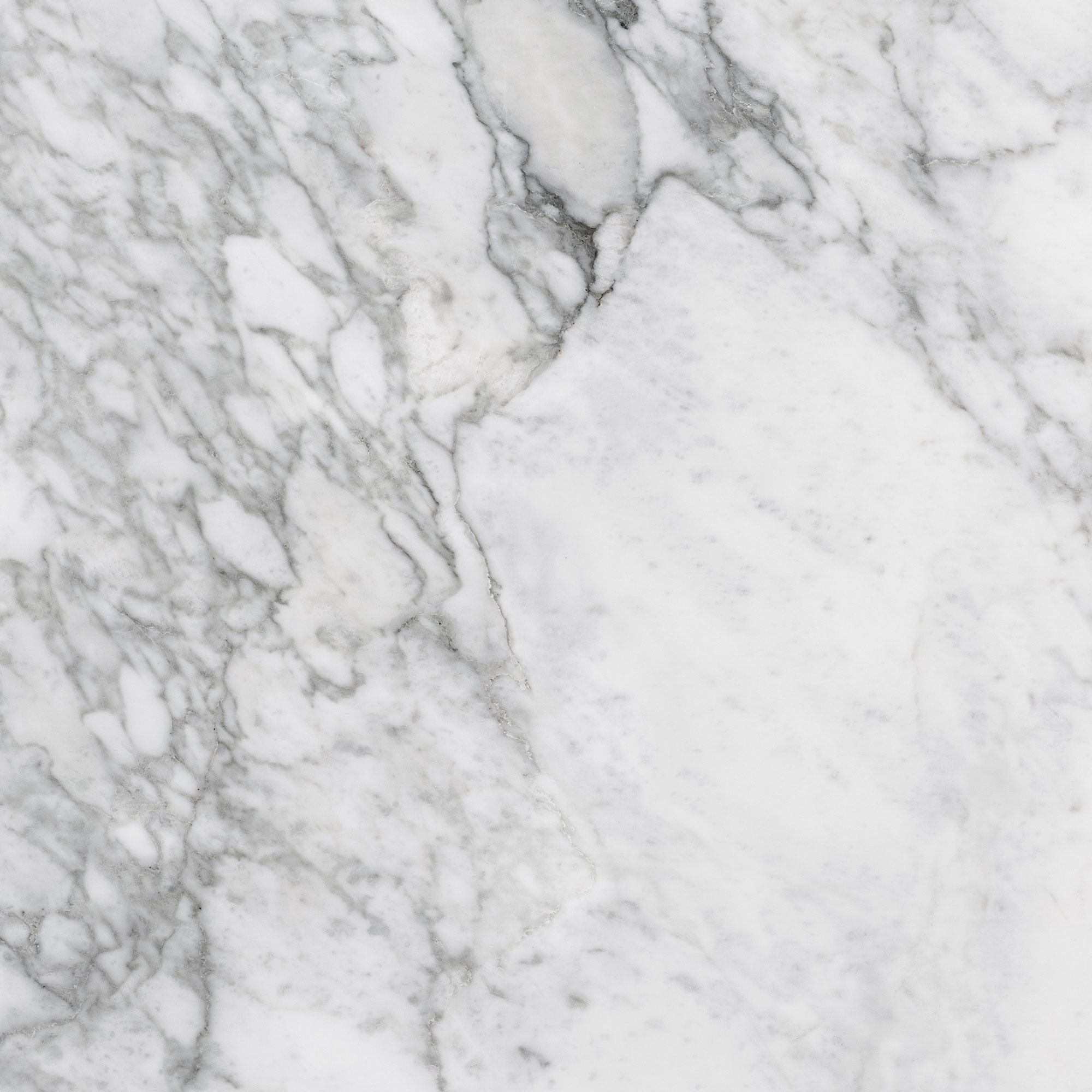 Charme Evo - T-196252-CEV-RNP-FT-24X24-MR