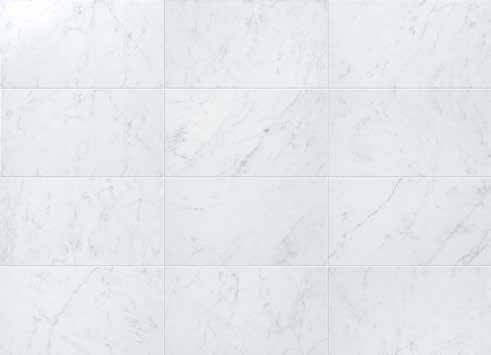 Eon - T-2090-EN-CAR-WT-3X12-POL