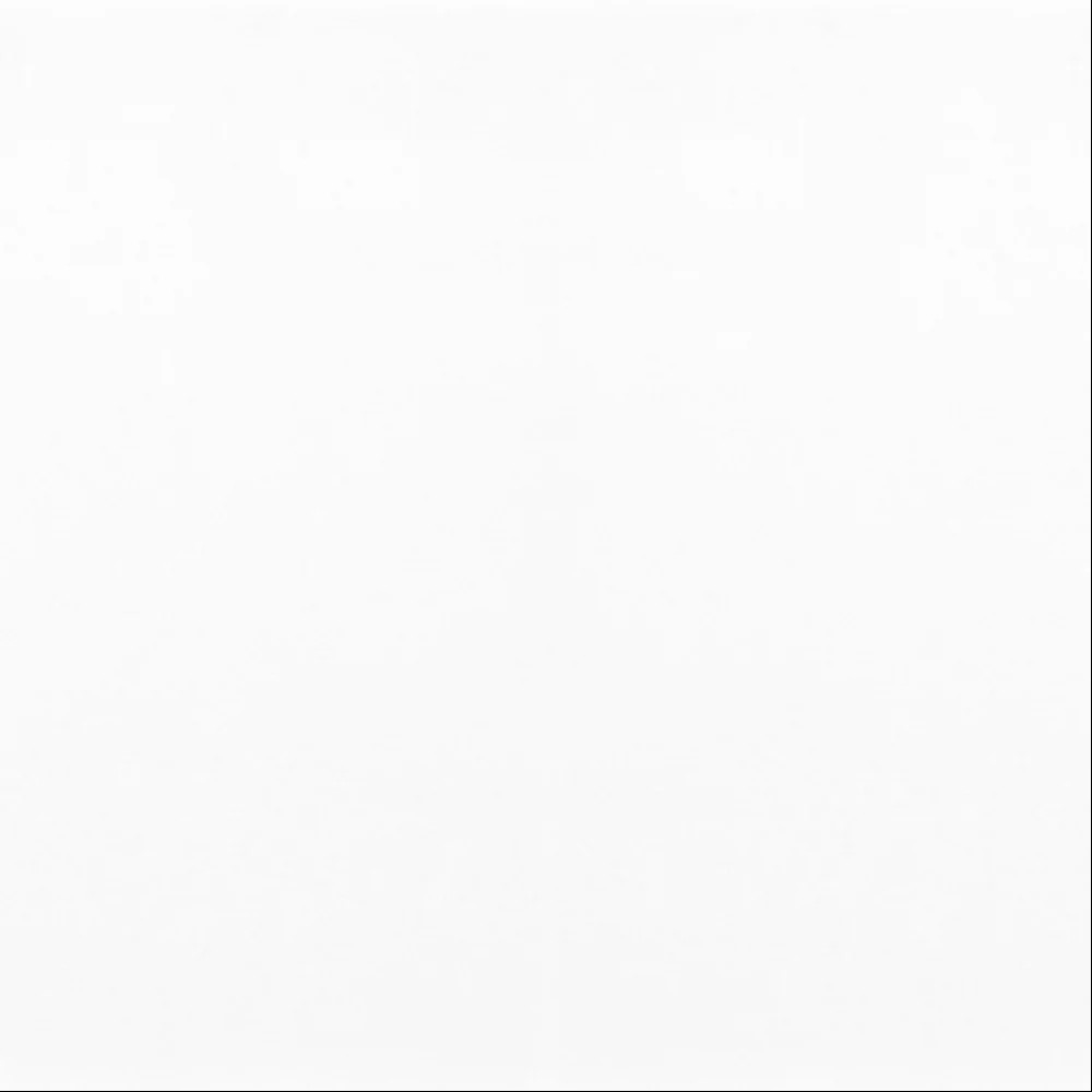 T-279219-WHTDL-THA1-FT-12X24XTE-POL