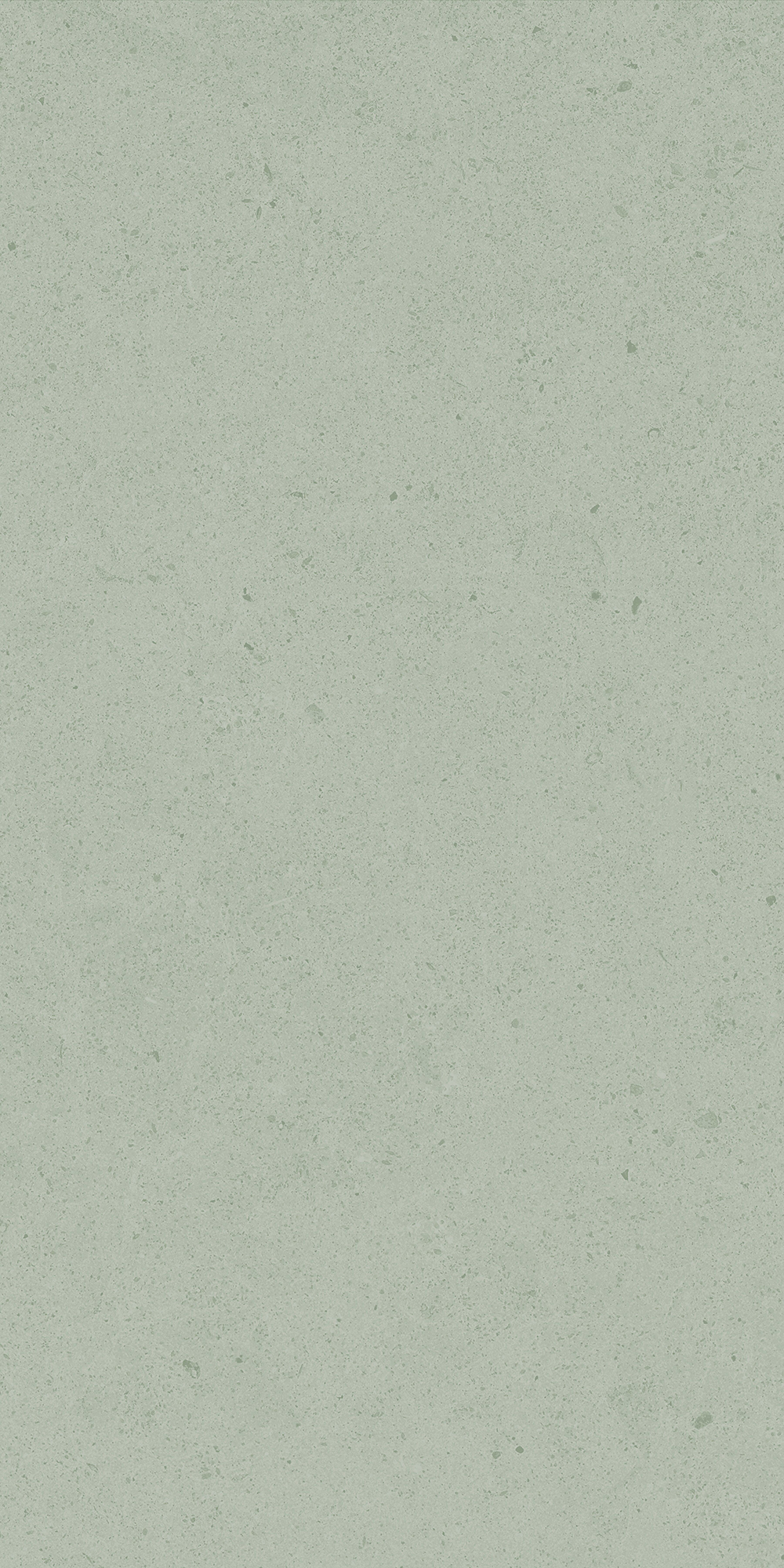 Argent 2.0 - T-2922-ARG2-ARG32-FT-12X24-UPS