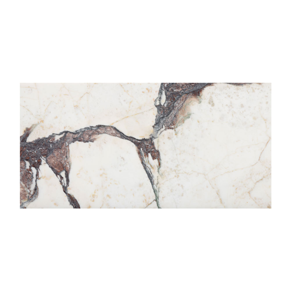 T-279219-WHM-CVIO-FT-12X24XTE-HNDAE-02