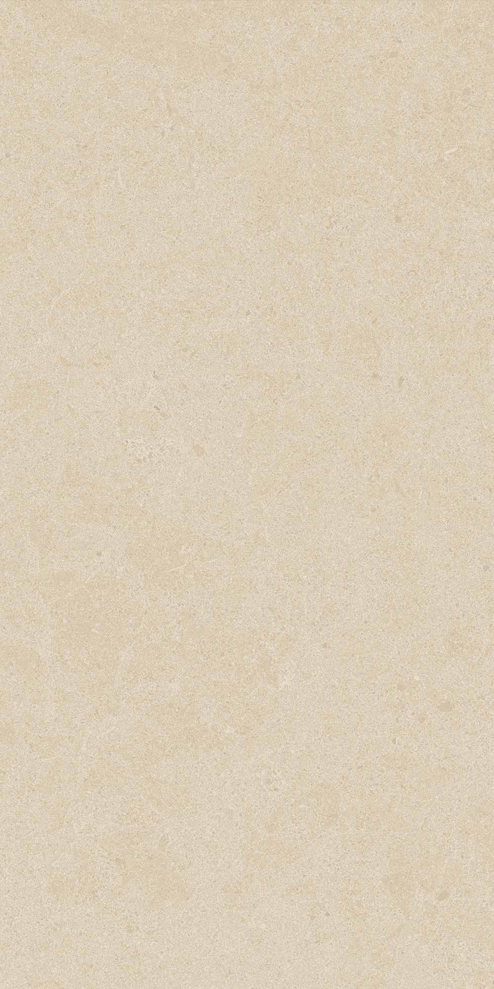 Argent 2.0 - T-2922-ARG2-ARG31-FT-12X24-UPS