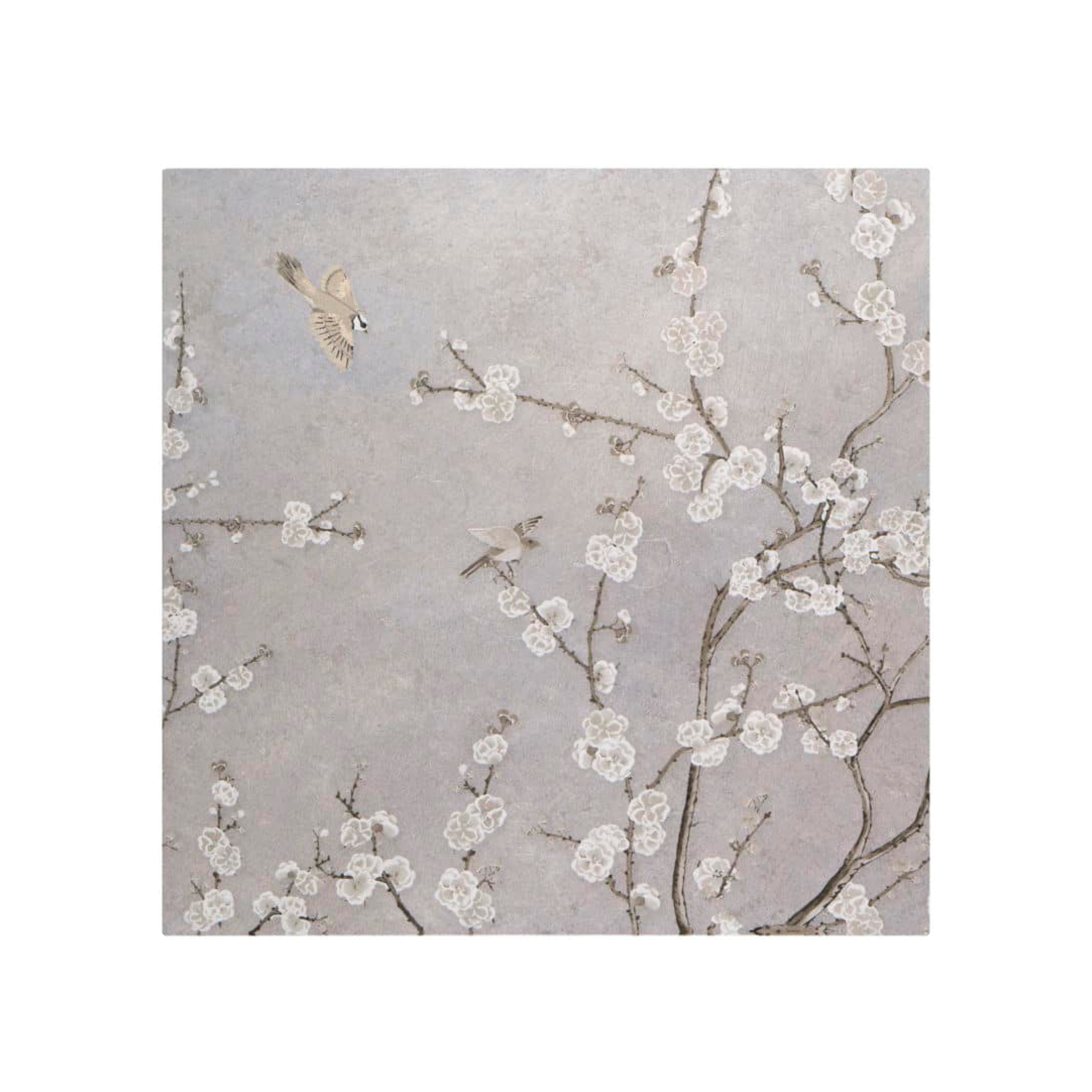 Cherry Blossoms - T-174292-MRL-NSLVL-WT-12X12-CBM