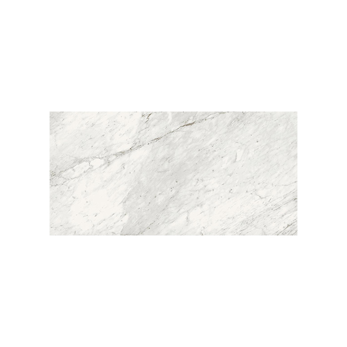 Trilogy - T-2090-TRIL-CARC-FT-12X24-M