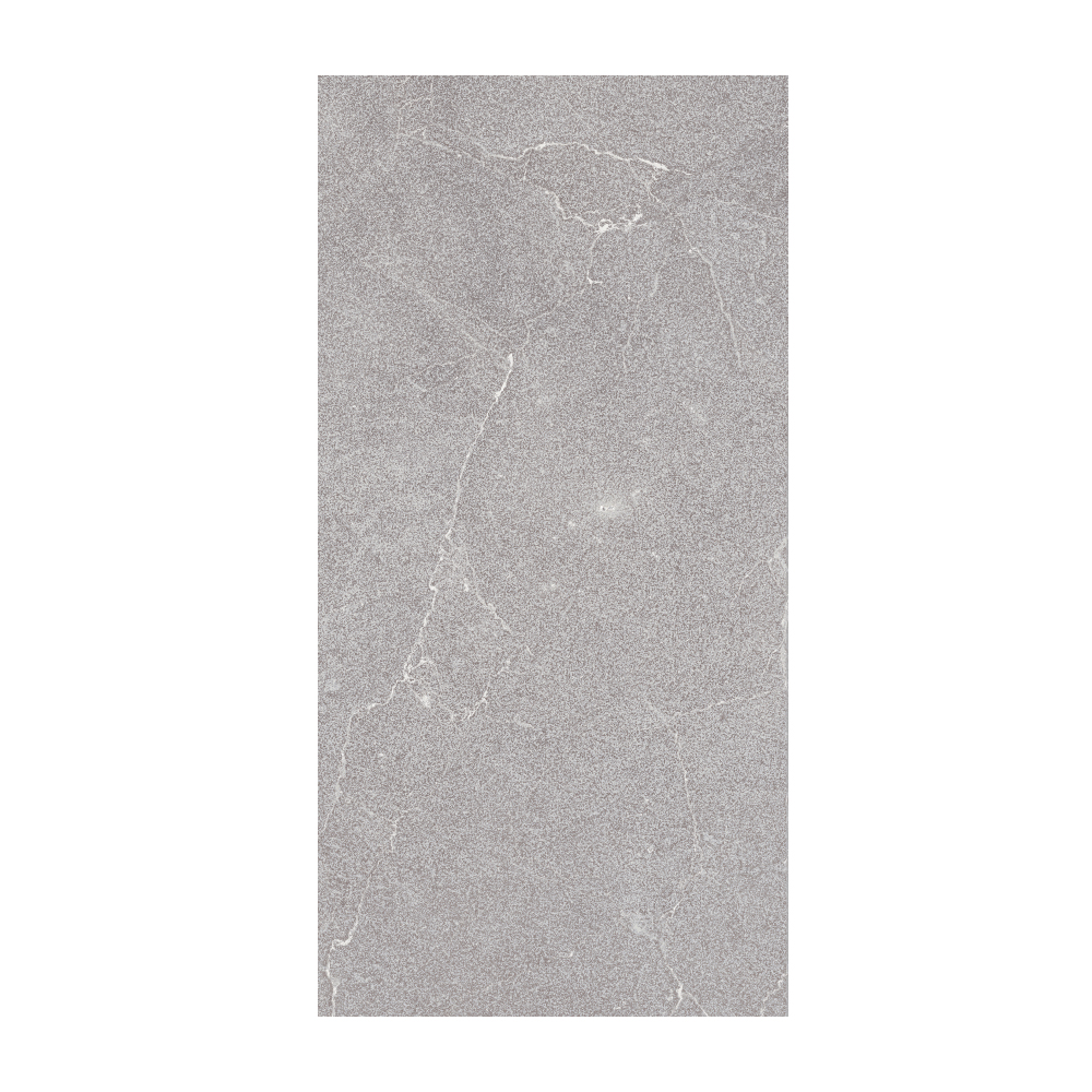 Sociale - T-2922-SCLE-SCL04-FT-12X24-FST