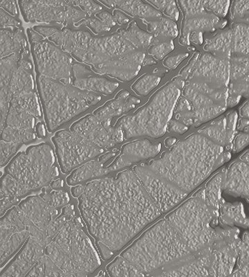 Reflet - T-135856-REF-RF01-WT-8X24-SF