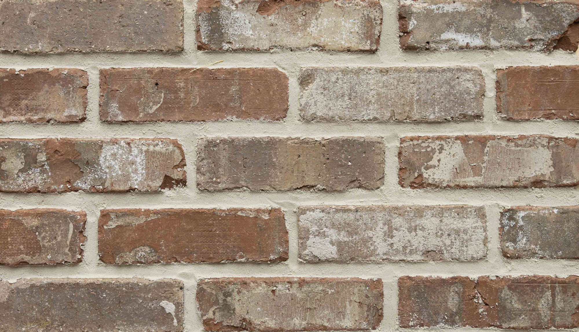 Product image for Wolftown