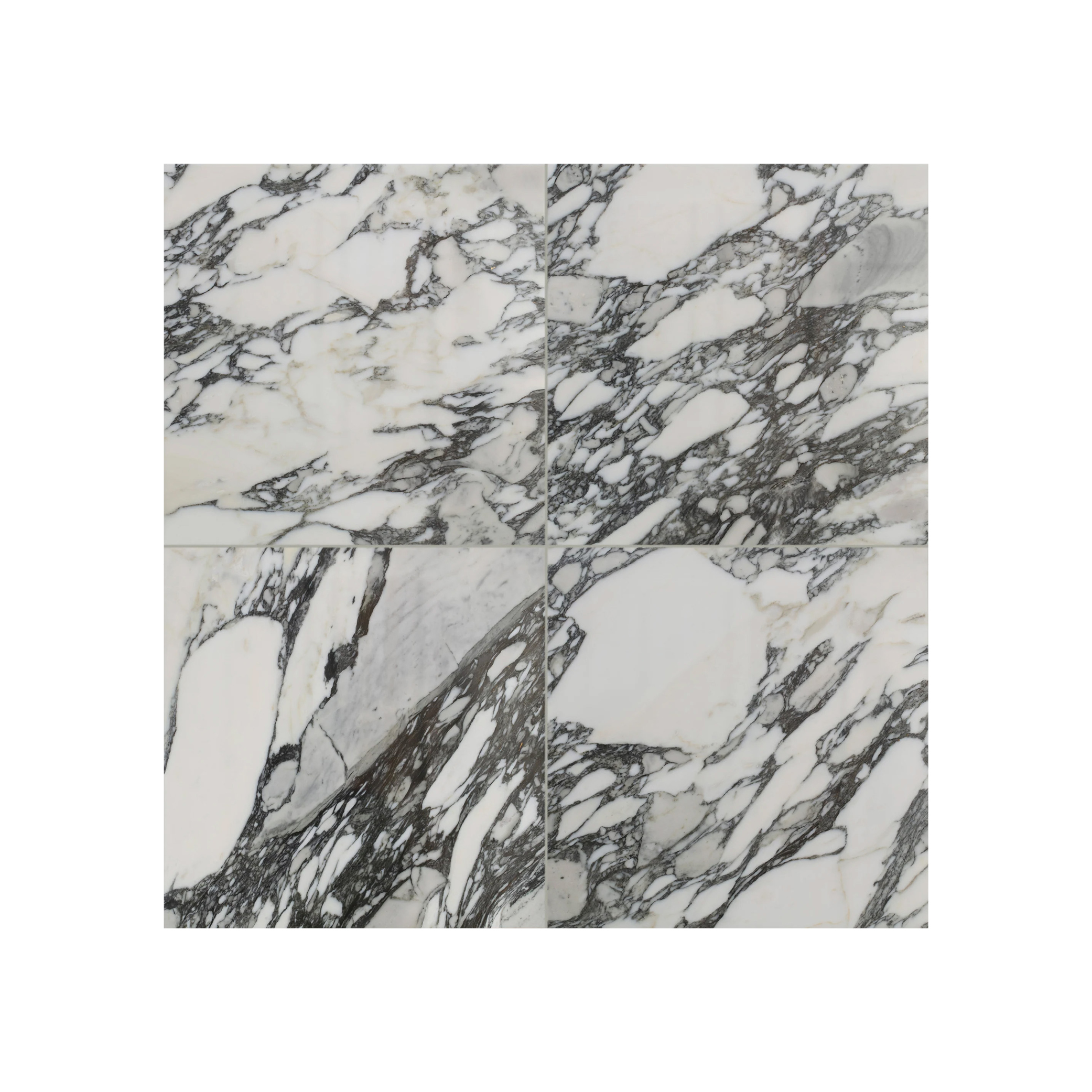 Arabescato Corchia - T-279219-WHM-ARBC-FT-18X18XTE-POL