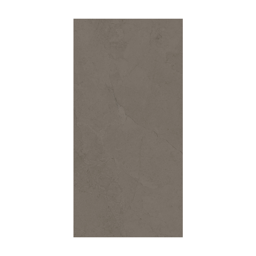 Contemporary - T-267223-CTNP-VDG-FT-24X48-SOFT