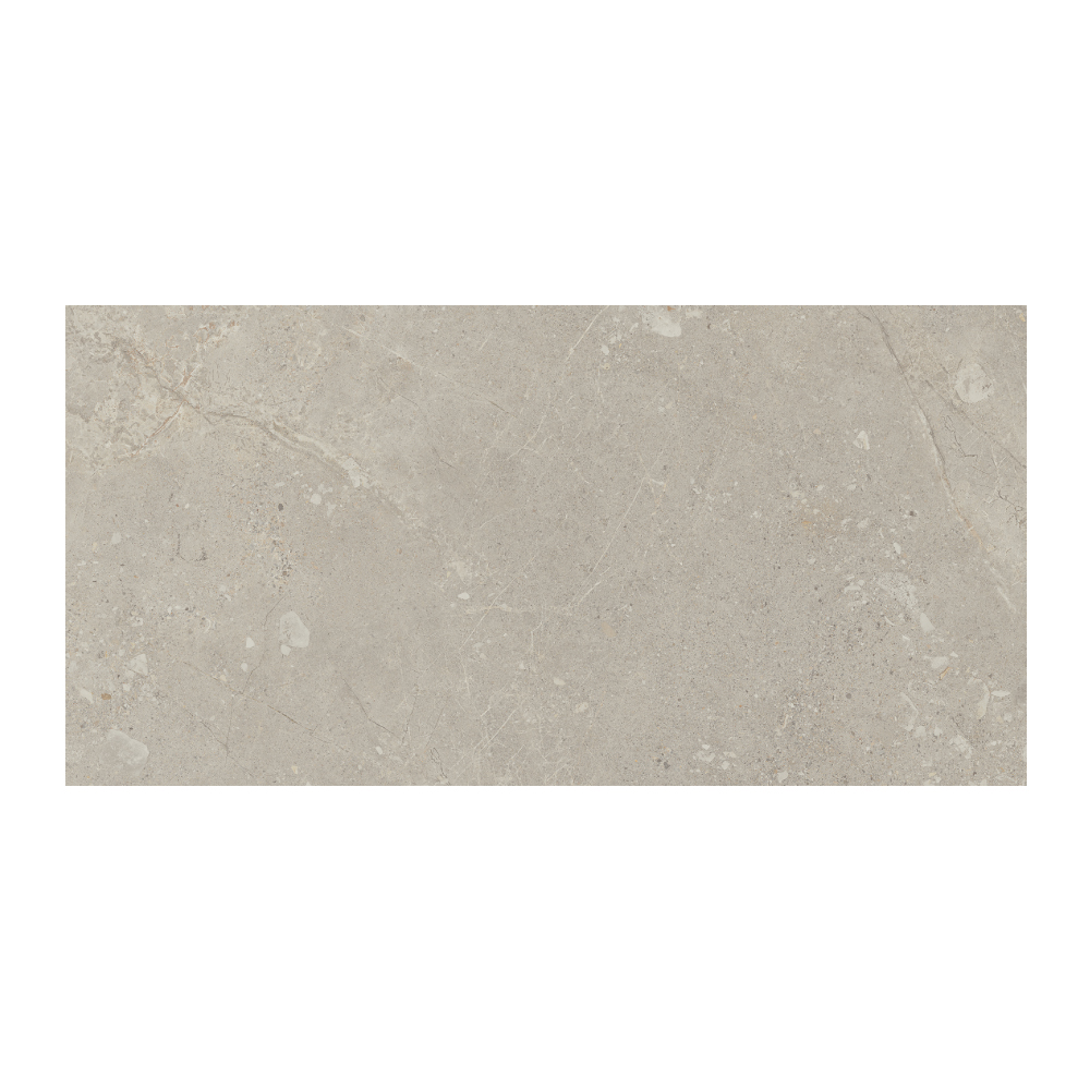 Moondance - T-267223-MNDC-GRY-FT-24X48-M