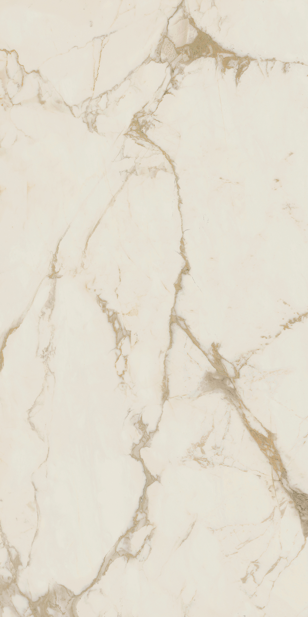 Prestige - T-267223-PRES-CLG-FT-12X24-LUX