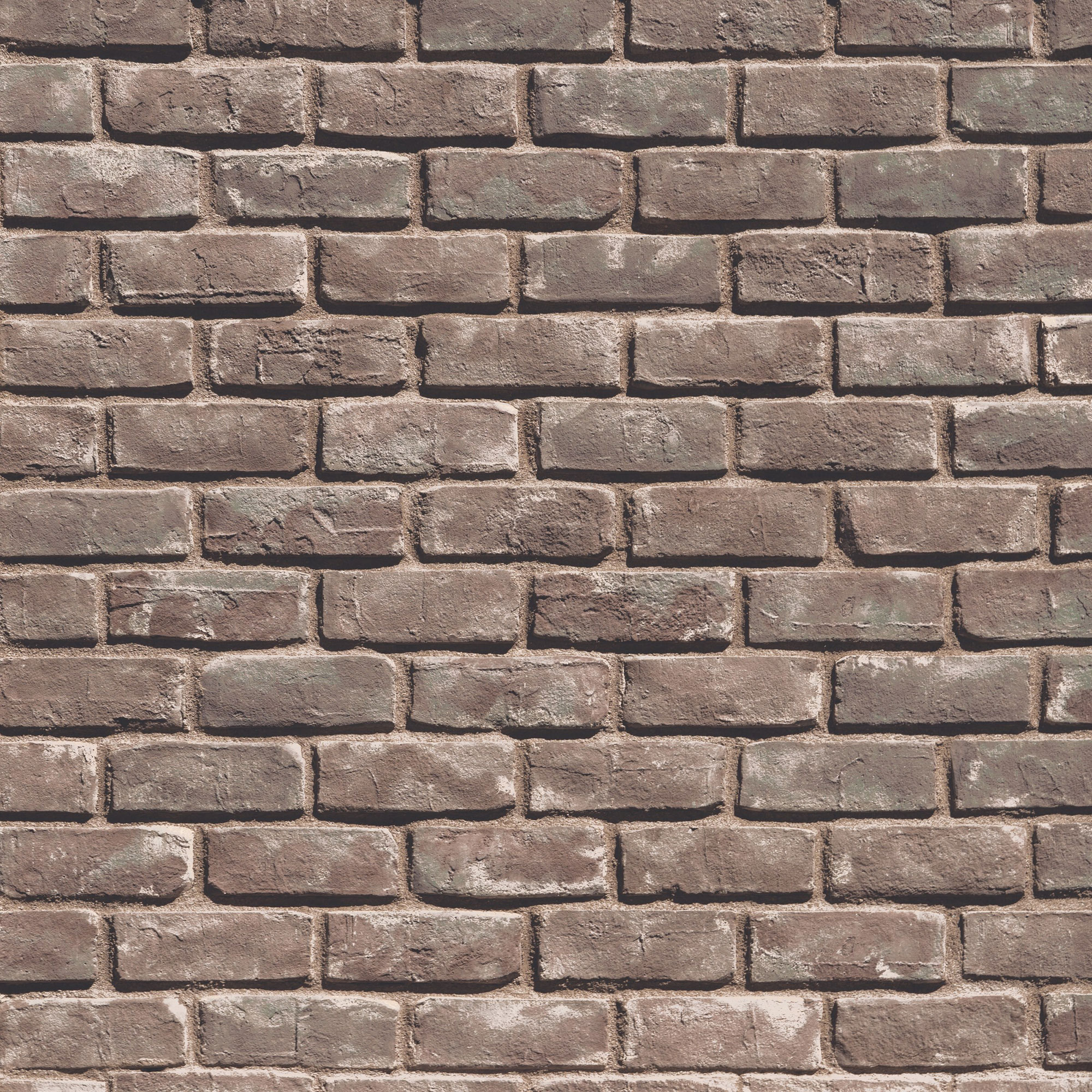 Product image for Craft Cannery Brick Plumwood Flats