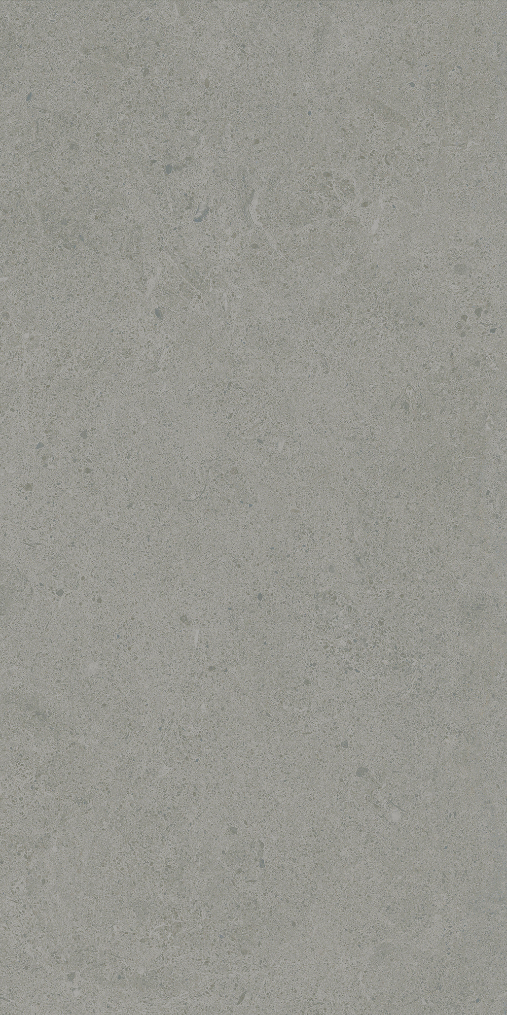 Argent 2.0 - T-2922-ARG2-ARG33-FT-6X24-UPS