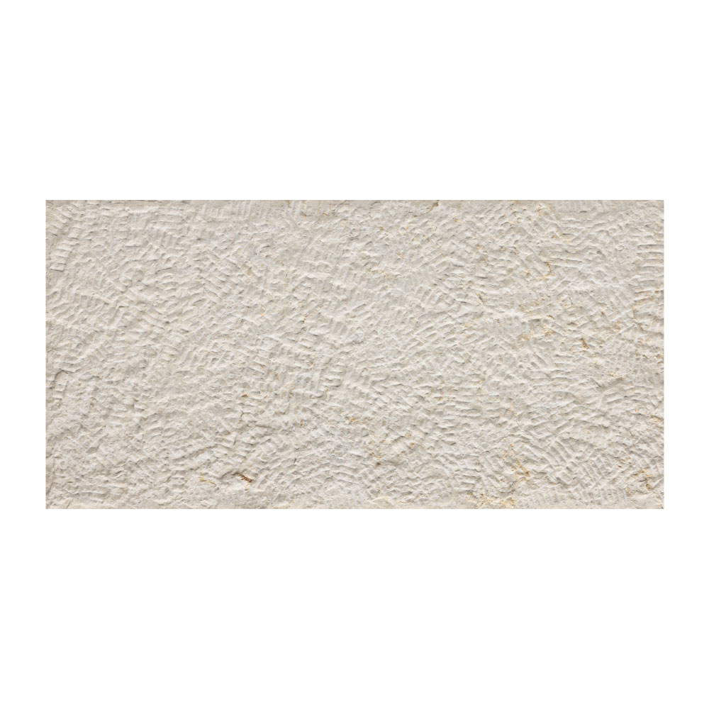 T-279219-OLDC-PRL-WT-12X24-TXT-05