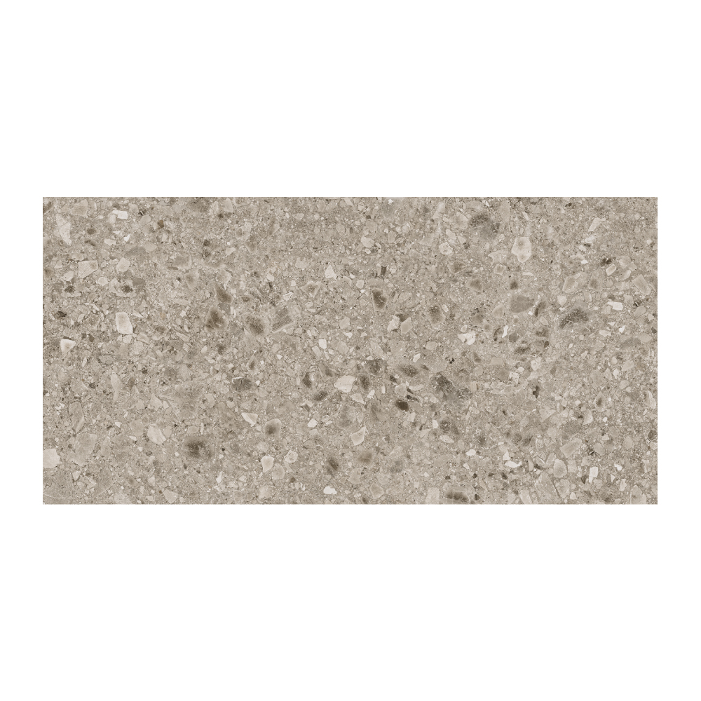 T-267223-TRZO-TORT-FT-24X48-NAT