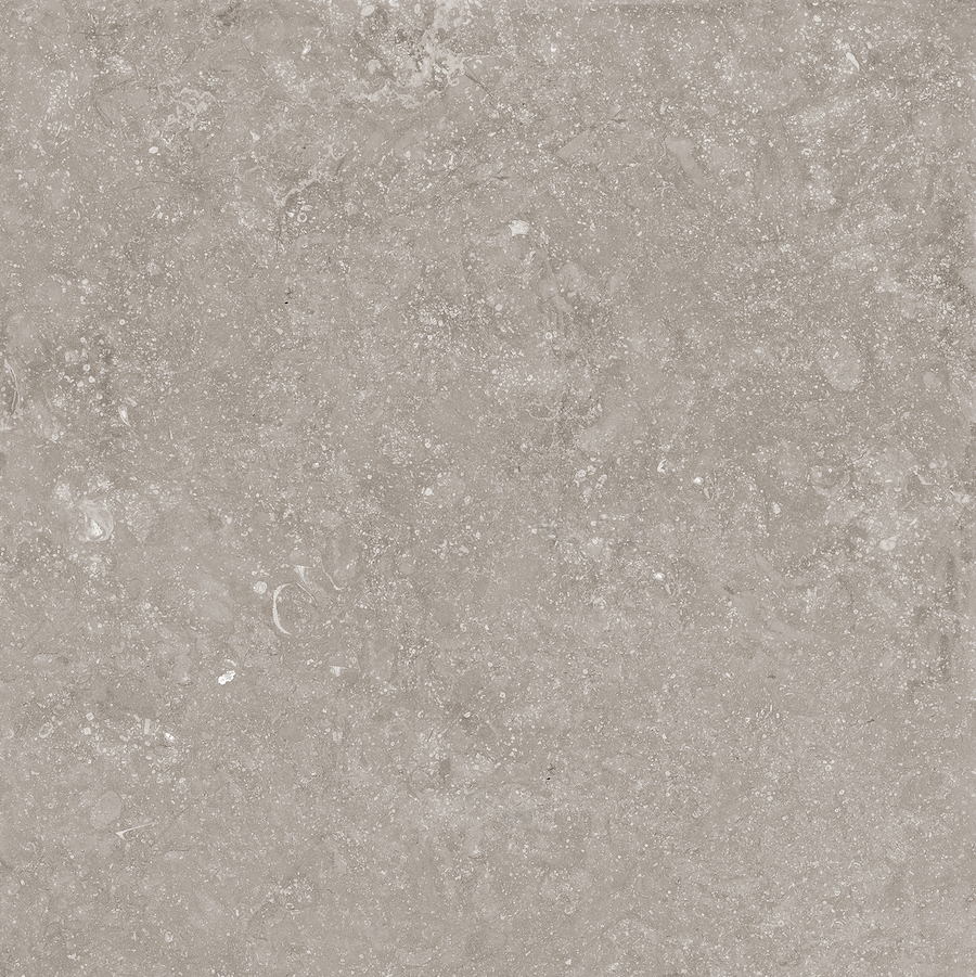 Beljn - T-2922-BJN-BJN02-FT-12X24-UPS