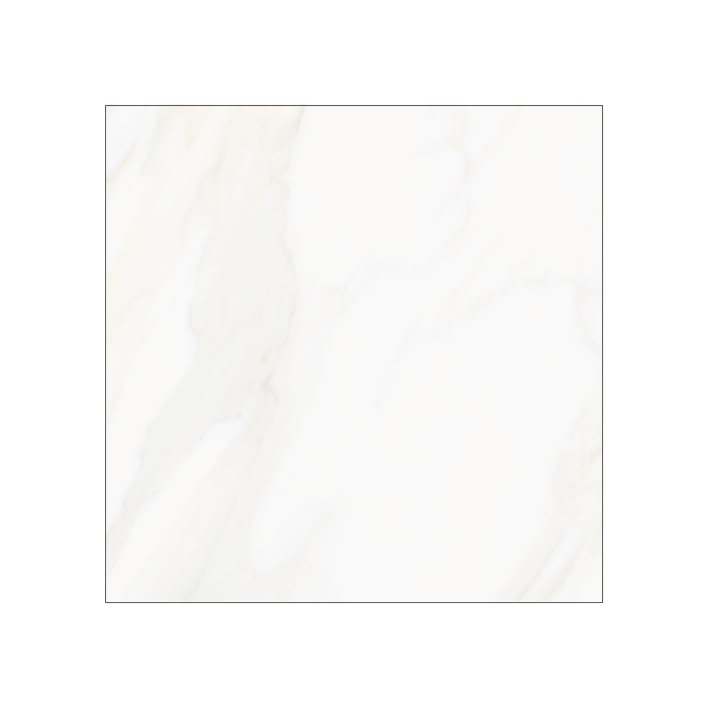 Westchester - T-VS-WSCH-ALPE-FT-24X24-POL