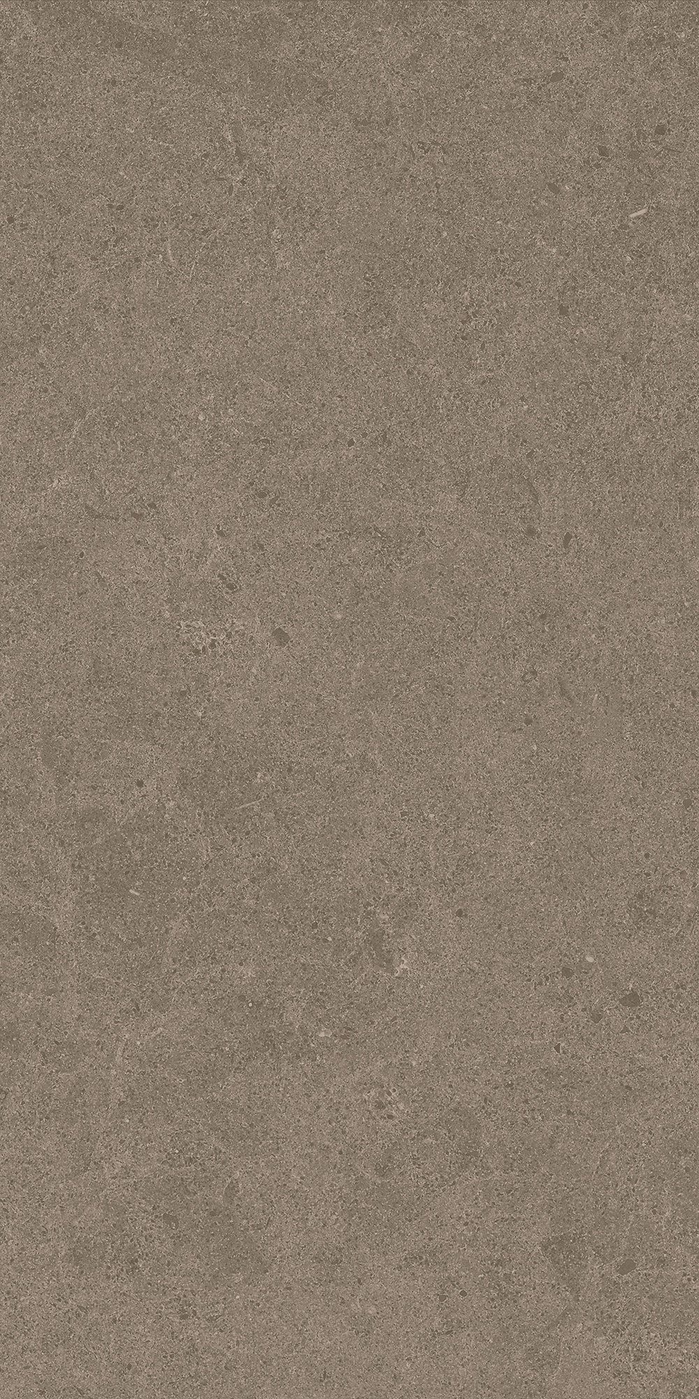 Argent 2.0 - T-2922-ARG2-ARG18-FT-6X24-UPS