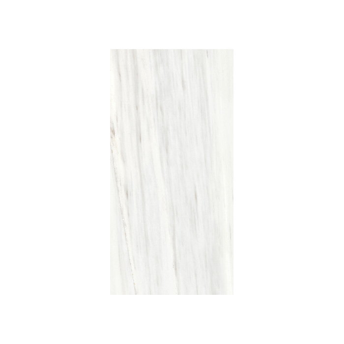 Origines De Rex - T-3806-ODR-ODR-FT-24X48-M10MM