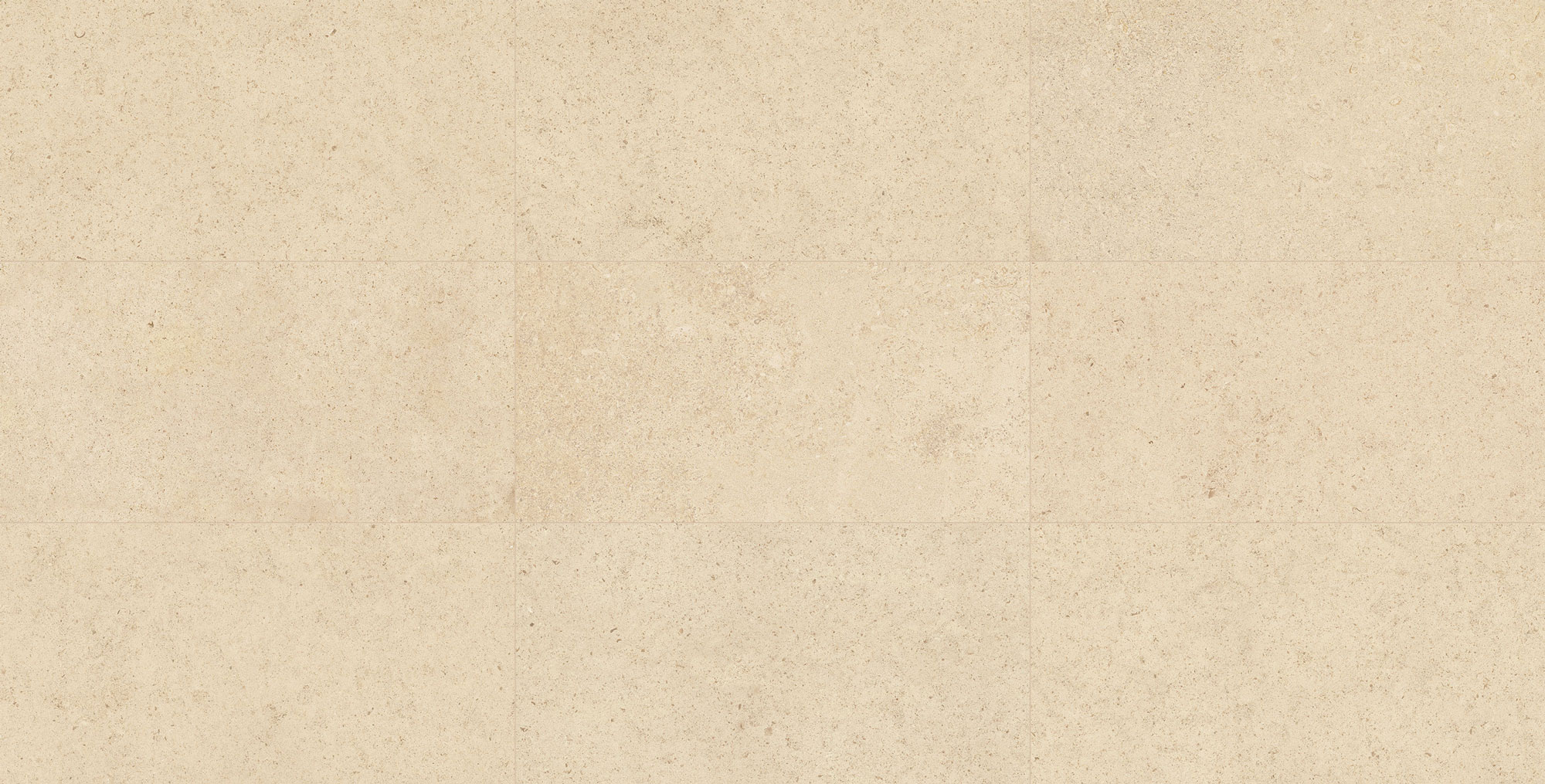 T-196252-MDER-DN-FT-12X24-MR-01