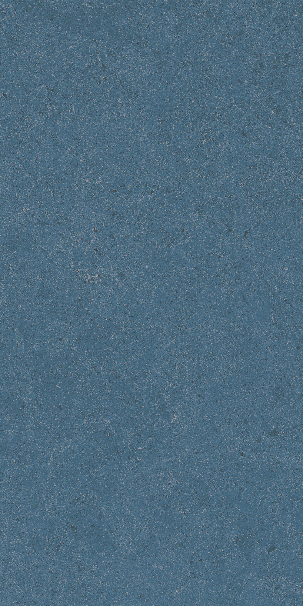 Argent 2.0 - T-2922-ARG2-ARG15-FT-12X24-UPS