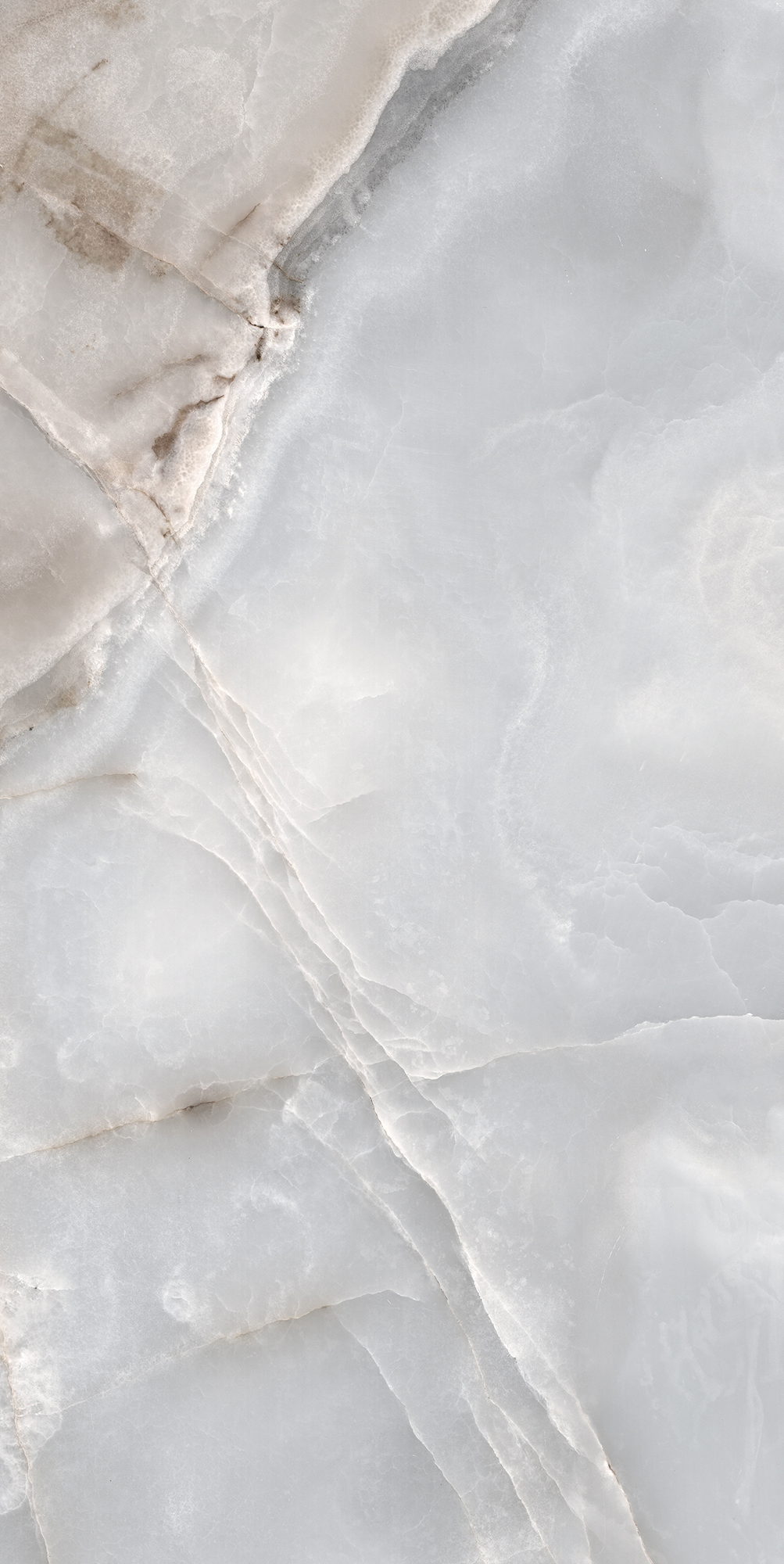 Reves De Rex - T-3806-RDR-BLEU-FT-24X48-GLSR10MM