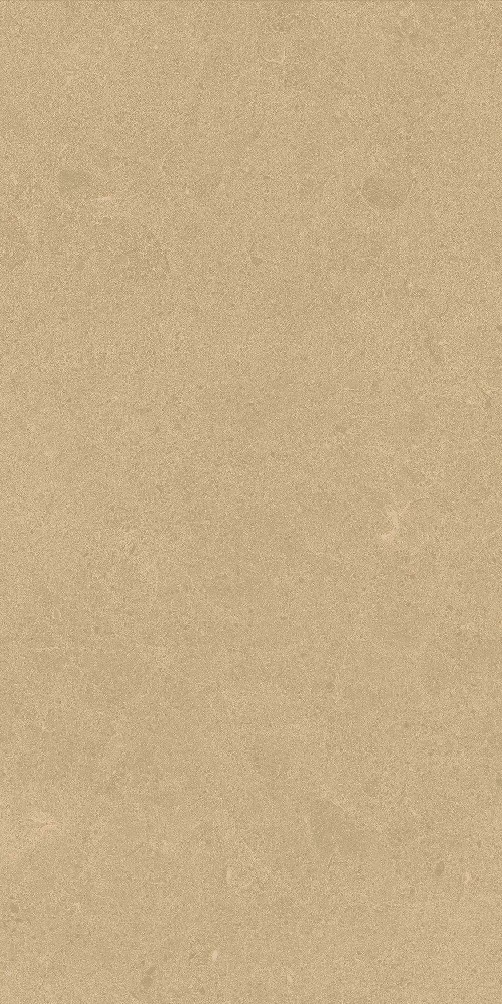 Argent 2.0 - T-2922-ARG2-ARG35-FT-12X24-UPS