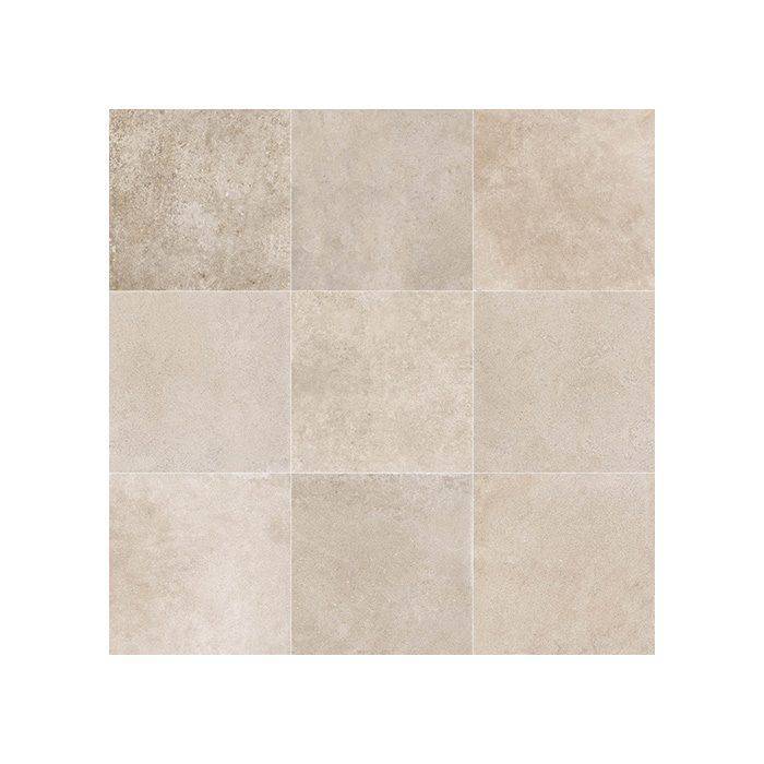 Dijon - T-135856-DIJ-COQ-FT-12X24-SP