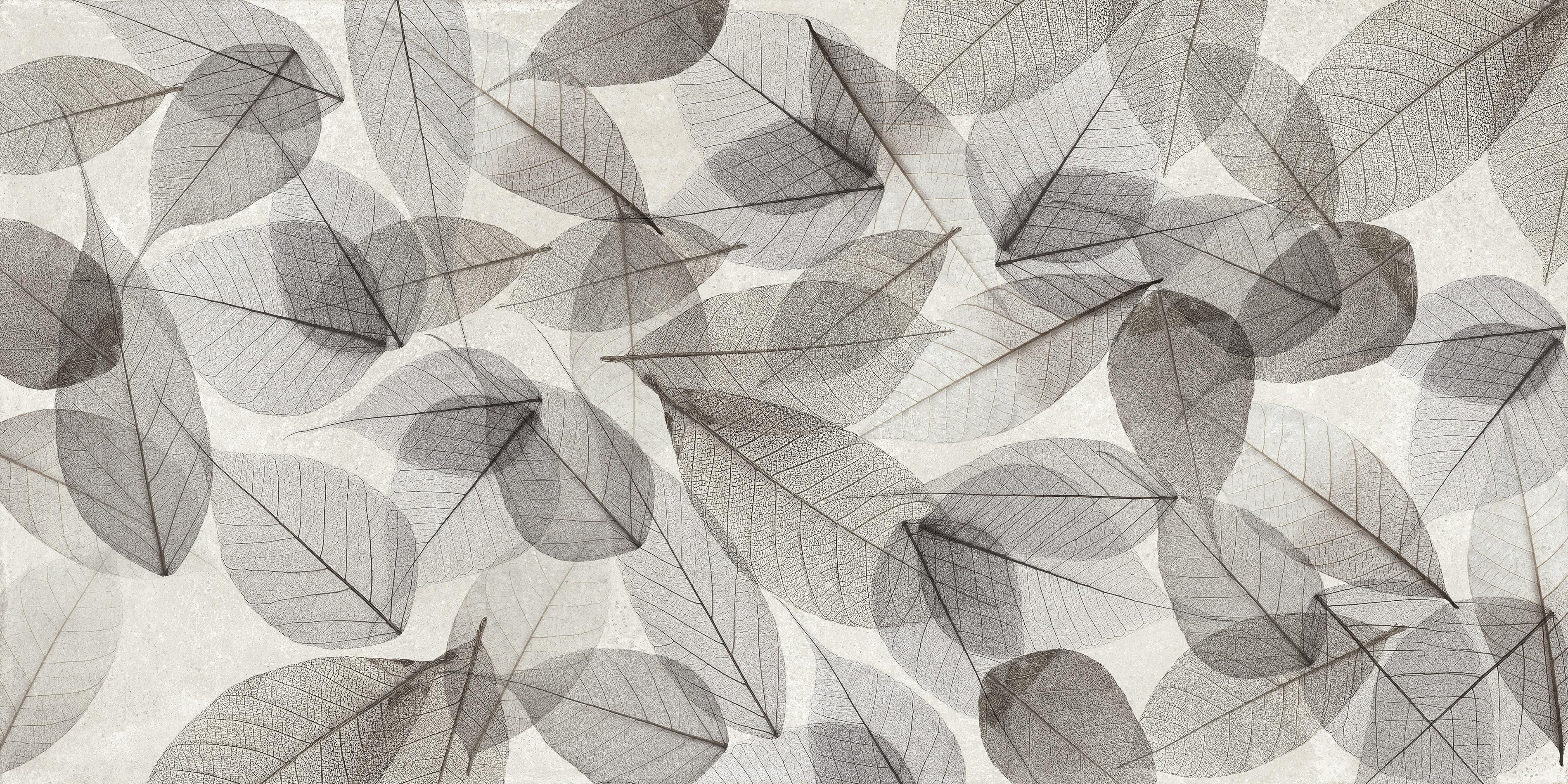 Deco XL - T-196252-DXL-ALEAF-WT-24X48-MR