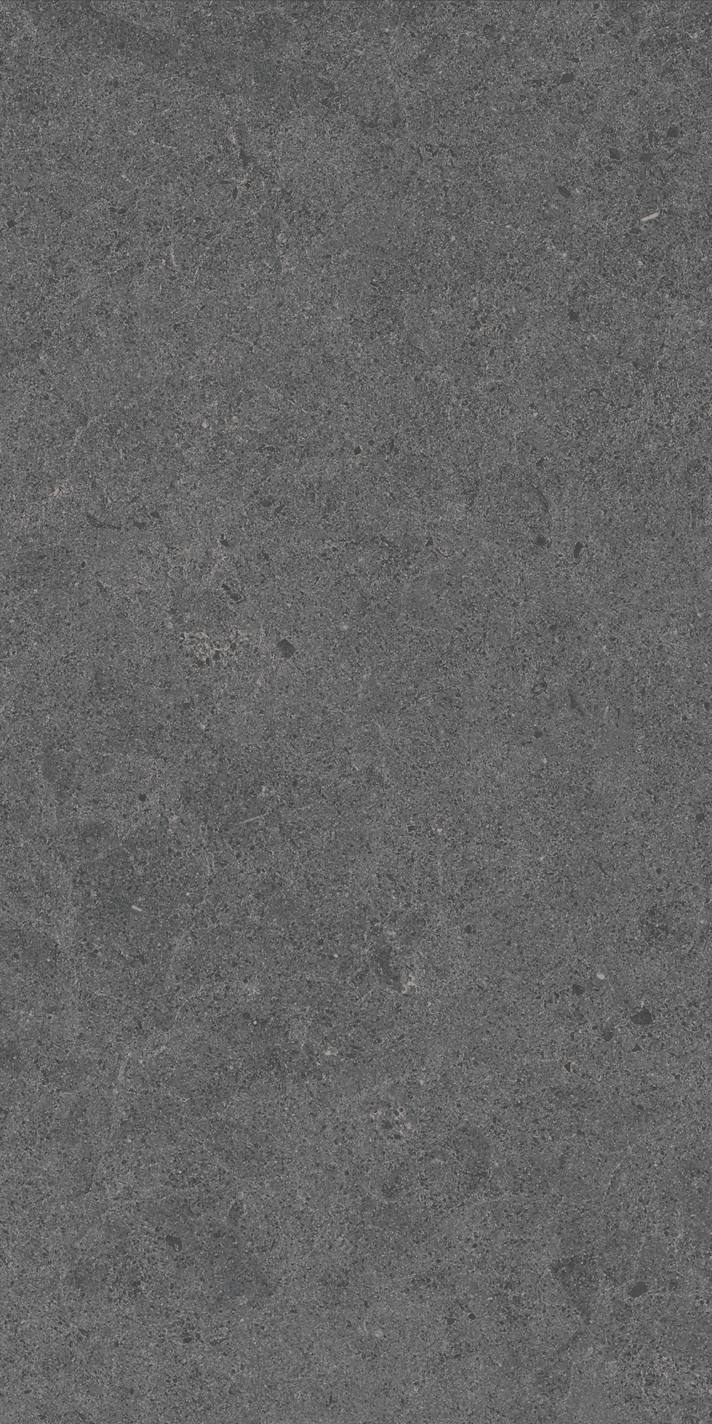 Argent 2.0 - T-2922-ARG2-ARG20-FT-12X24-UPS