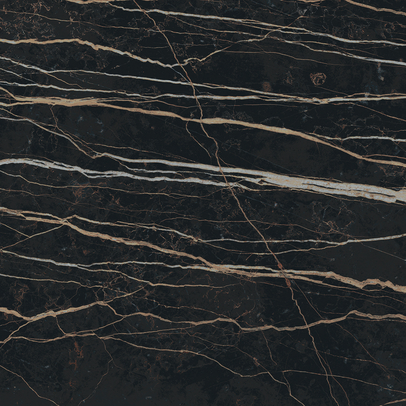 Prexious De Rex - T-3806-PREX-THNT-FT-24X24-M