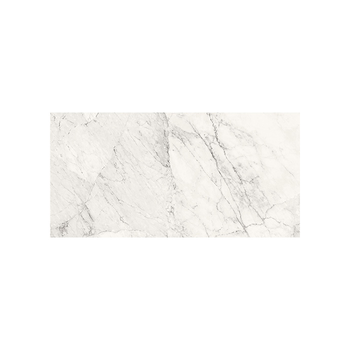 Aesthetica - T-2696-AEST-CALXW-FT-24X48-POL