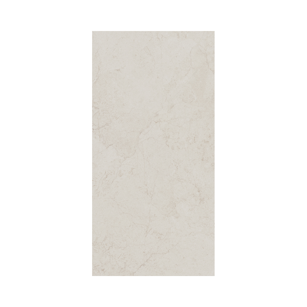 Contemporary - T-267223-CTNP-CHWH-FT-12X24-SOFT