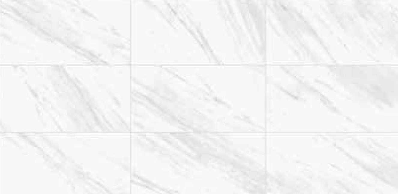 Quad - T-2090-QDS-ODY-FT-12X24