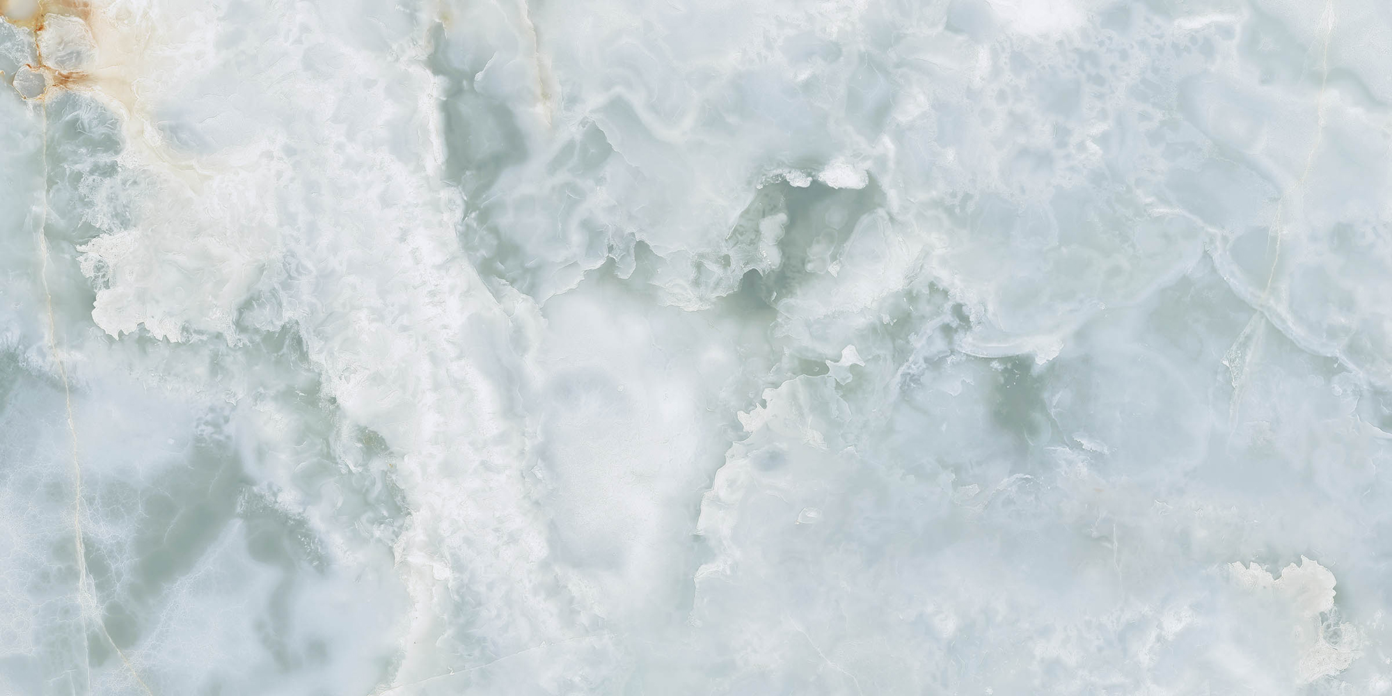 Aesthetica - T-2696-AEST-ONAZ-FT-24X48-M