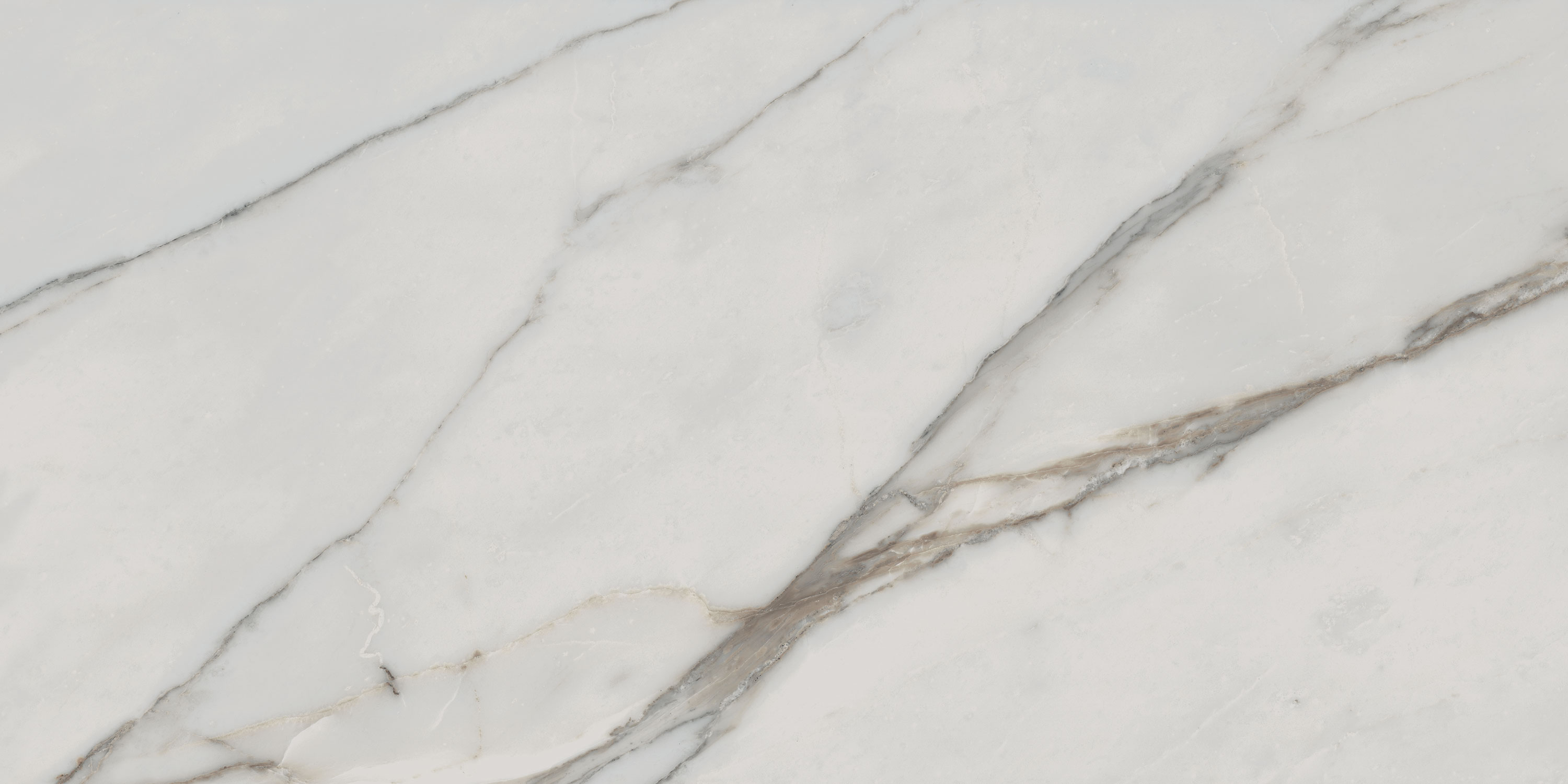 Charme - T-196252-CH-CALA-FT-12X24