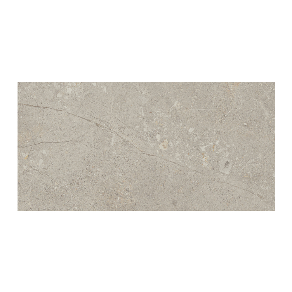 Moondance - T-267223-MNDC-GRY-FT-12X24-M