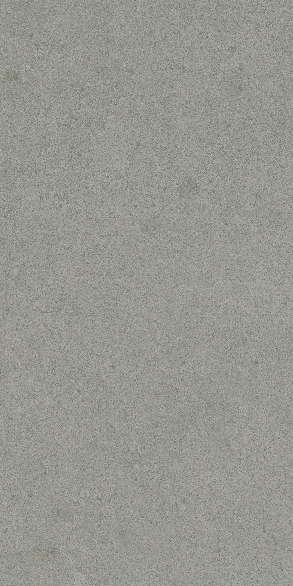 Argent 2.0 - T-2922-ARG2-ARG33-FT-12X12-UPS