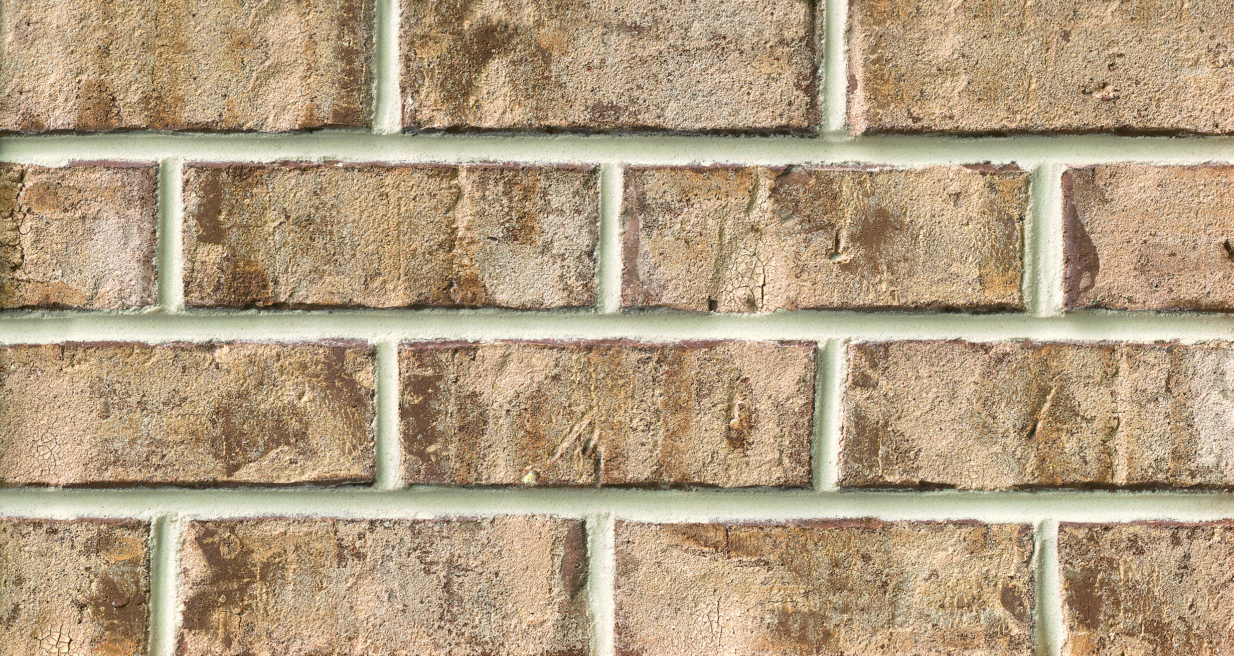 Product image for Old Biscayne