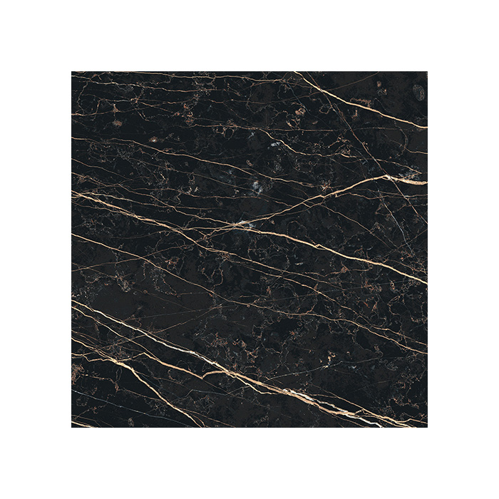 Prexious De Rex - T-3806-PREX-THNT-FT-24X24-M