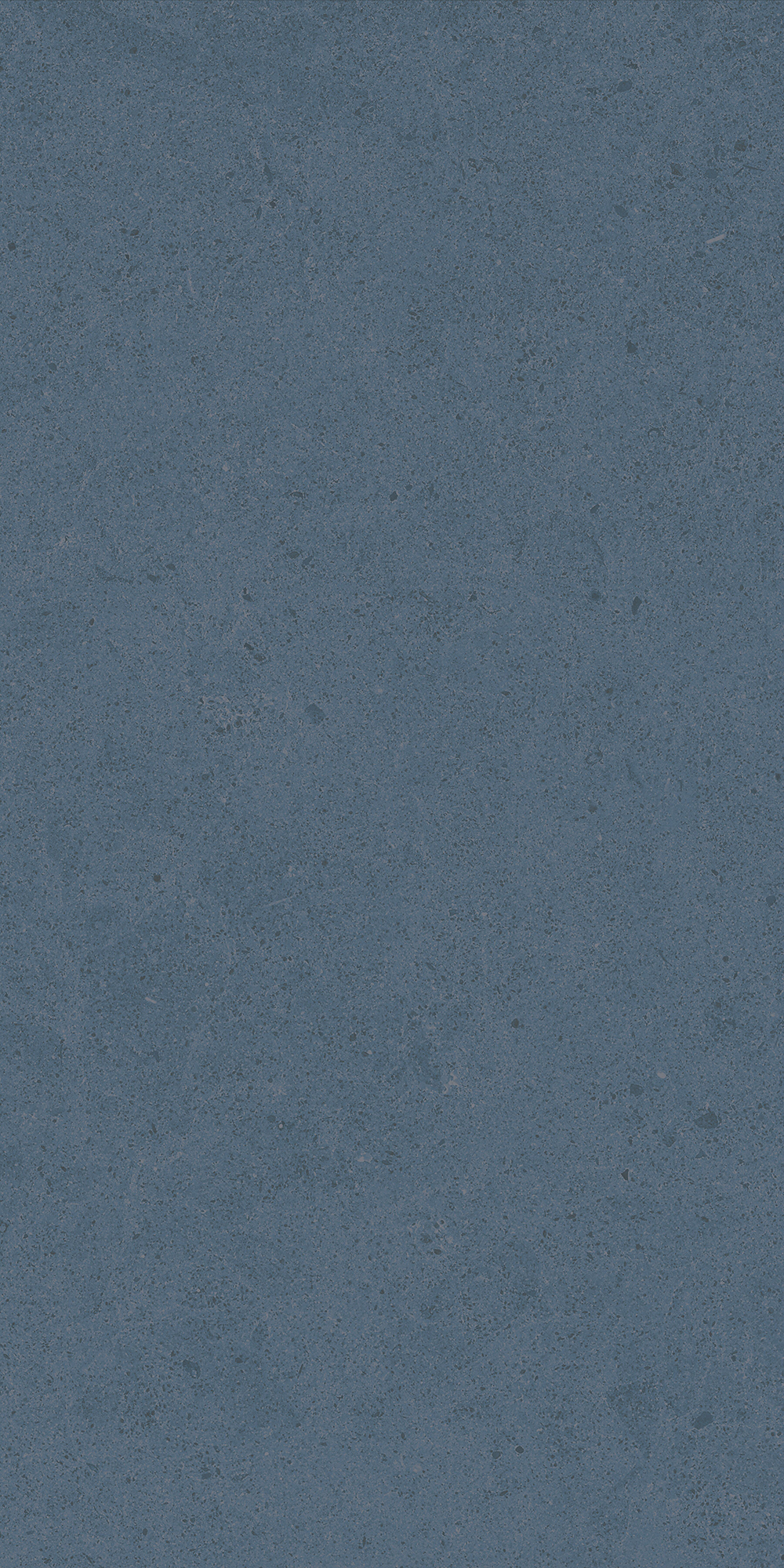 Argent 2.0 - T-2922-ARG2-ARG37-FT-12X24-UPS